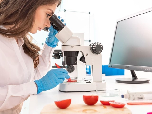 ¿Qué es el APPCC y por qué es importante?